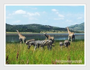 Mankwe dam